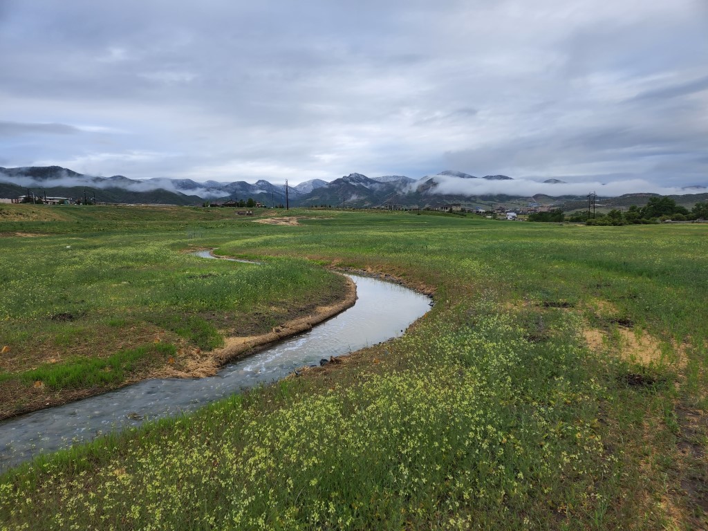 green space with creek