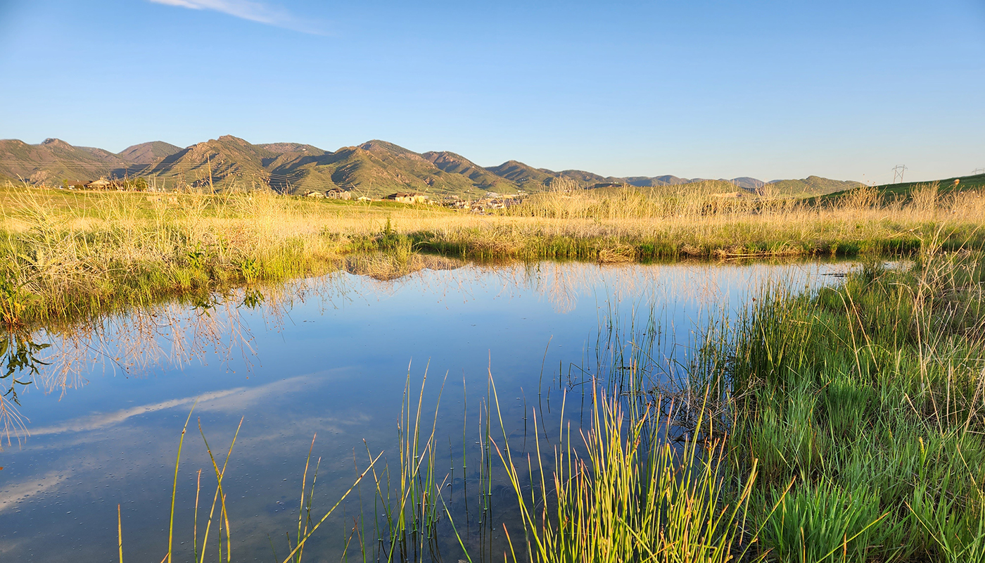 Willow Creek at Sterling Ranch